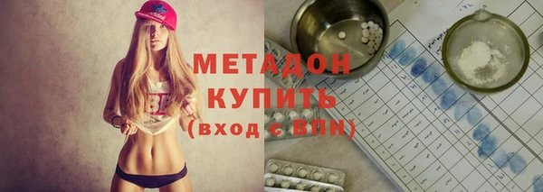 стаф Алзамай