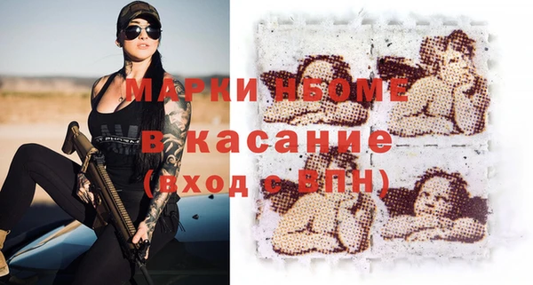 стаф Алзамай