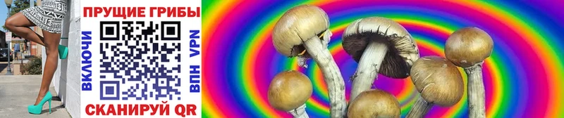 кракен зеркало  Ряжск  Галлюциногенные грибы Cubensis 